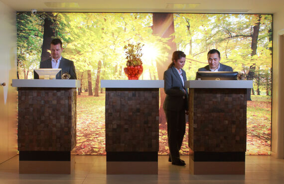 Arbor City | Restaurant and hotel referb