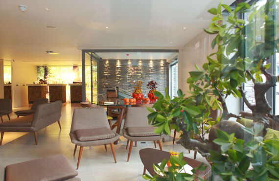Arbor City | Restaurant and hotel referb